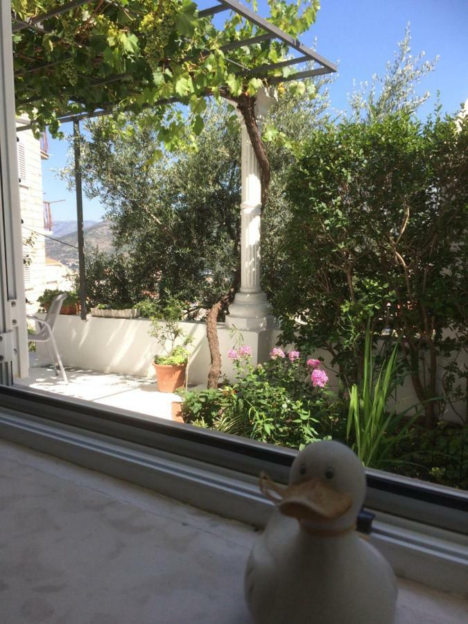 Apartman Vitis Dubrovnik Kültér fotó